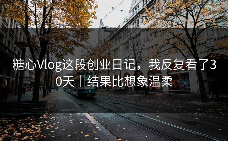 糖心Vlog这段创业日记，我反复看了30天｜结果比想象温柔