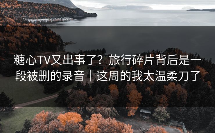 糖心TV又出事了？旅行碎片背后是一段被删的录音｜这周的我太温柔刀了