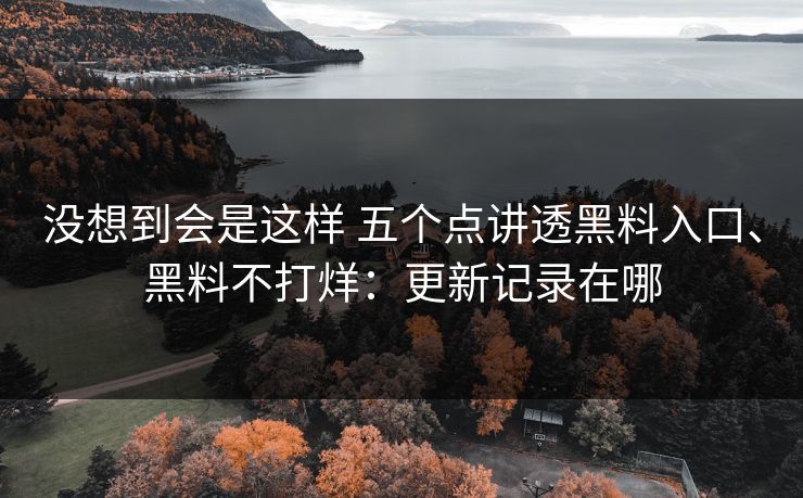 没想到会是这样 五个点讲透黑料入口、黑料不打烊：更新记录在哪