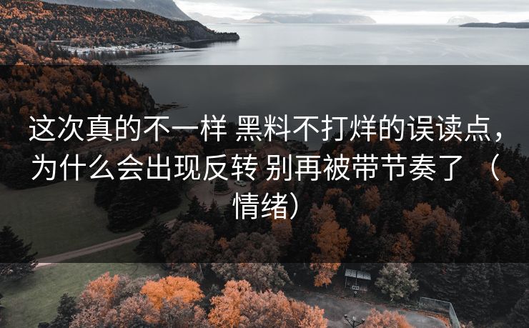 这次真的不一样 黑料不打烊的误读点，为什么会出现反转 别再被带节奏了 （情绪）