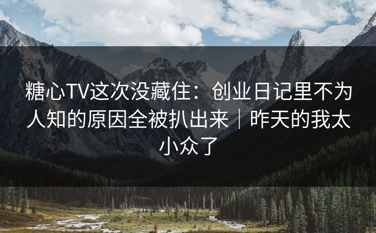 糖心TV这次没藏住：创业日记里不为人知的原因全被扒出来｜昨天的我太小众了