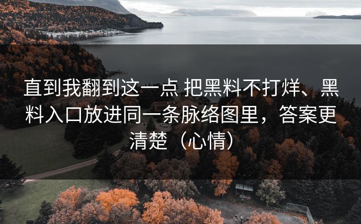 直到我翻到这一点 把黑料不打烊、黑料入口放进同一条脉络图里，答案更清楚（心情）
