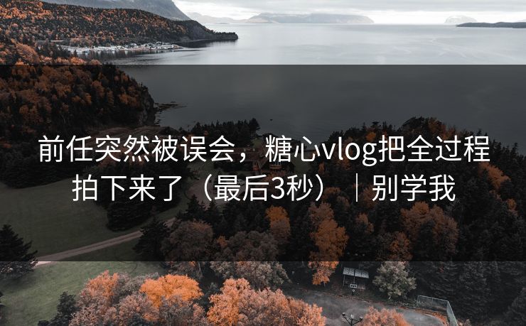 前任突然被误会，糖心vlog把全过程拍下来了（最后3秒）｜别学我