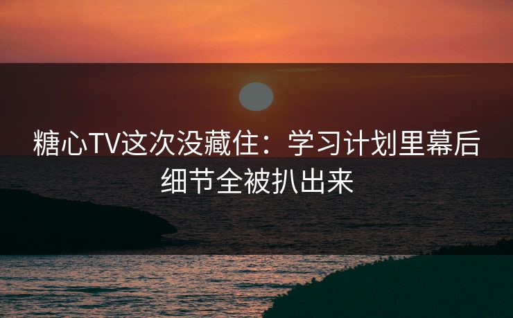 糖心TV这次没藏住：学习计划里幕后细节全被扒出来