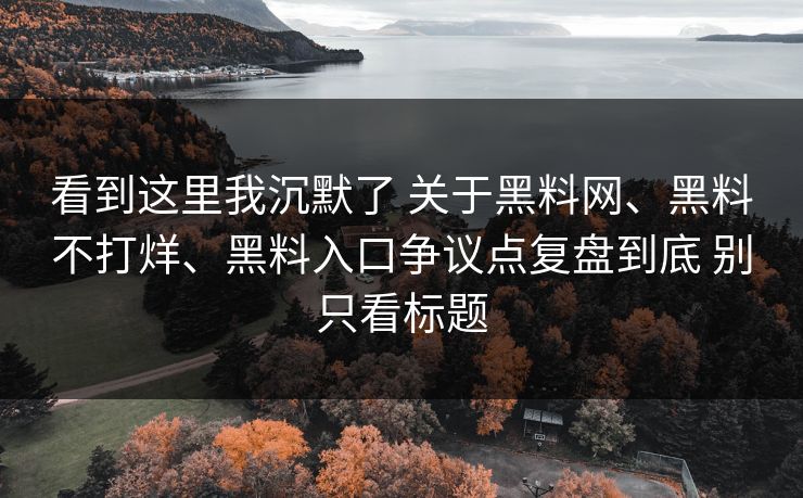 看到这里我沉默了 关于黑料网、黑料不打烊、黑料入口争议点复盘到底 别只看标题
