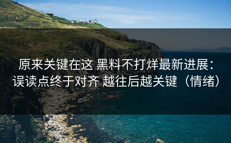 原来关键在这 黑料不打烊最新进展：误读点终于对齐 越往后越关键（情绪）