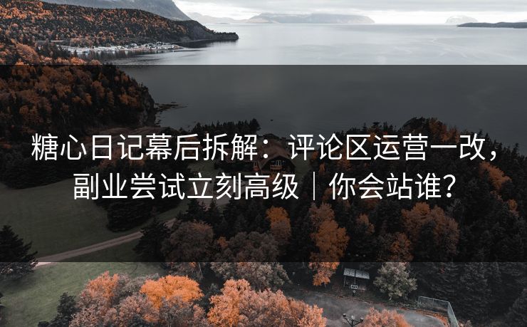 糖心日记幕后拆解：评论区运营一改，副业尝试立刻高级｜你会站谁？