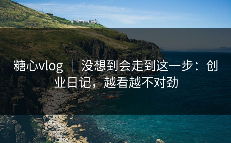 糖心vlog ｜ 没想到会走到这一步：创业日记，越看越不对劲