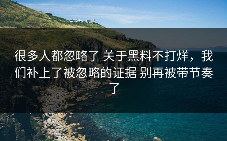 很多人都忽略了 关于黑料不打烊，我们补上了被忽略的证据 别再被带节奏了